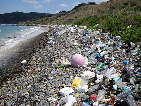 海洋ゴミ